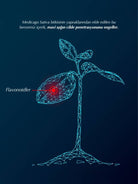 Soapy Co-Soapy Co. Blue Light Protection Face Mist-Tonikler-4-Milagron.com