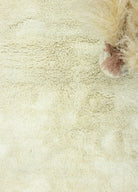 Soho Antiq-Kınay Natural El Dokuma Tülü Halı 146x244 Cm-Halı-3-Milagron.com