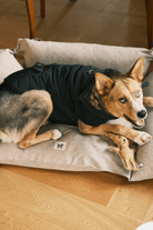 St. Pia-Robear El Yapımı Kedi + Köpek Oyuncağı-Toffee-Köpek-3-Milagron.com