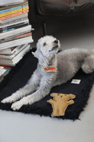 St. Pia-Robear El Yapımı Kedi + Köpek Oyuncağı-Toffee-Köpek-6-Milagron.com