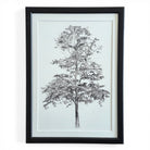 Ağaç Teknik Kalem Fine Art Baskı