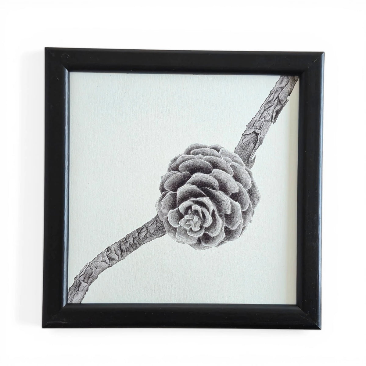 Daldaki Kozalak Fine Art Baskı