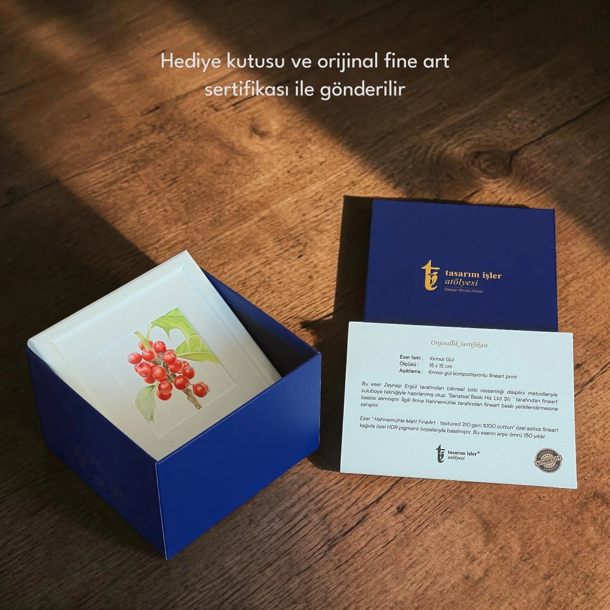 Daldaki Kozalak Fine Art Baskı
