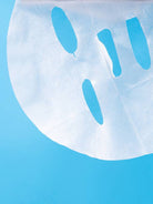 Terrazen PDRN Total Renew Maske x10