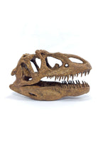 The Fossil Art-Allosaurus Mini Seramik Heykel-Heykel-1-Milagron.com