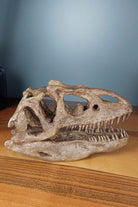The Fossil Art-Allosaurus Mini Seramik Heykel-Heykel-3-Milagron.com