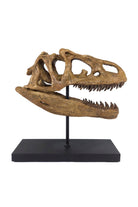 The Fossil Art-Allosaurus Seramik Heykel-Heykel-1-Milagron.com