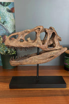 The Fossil Art-Allosaurus Seramik Heykel-Heykel-3-Milagron.com
