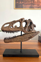 The Fossil Art-Allosaurus Seramik Heykel-Heykel-4-Milagron.com