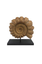 The Fossil Art-Ammonite Fosil Heykeli-Biblo-1-Milagron.com