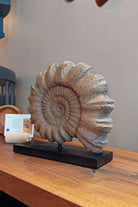The Fossil Art-Ammonite Fosil Heykeli-Biblo-4-Milagron.com
