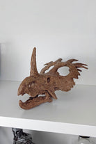 The Fossil Art-Styracosaurus Mini Seramik Heykel-Heykel-3-Milagron.com