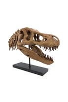 The Fossil Art-T-Rex Fosil Heykeli-Biblo-2-Milagron.com