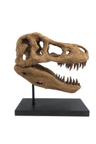 The Fossil Art-T-rex Fosil Heykeli - Omurgasız-Heykel-2-Milagron.com