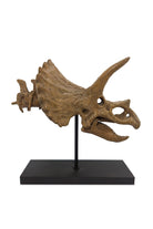 The Fossil Art-Triceratops Fosil Heykeli-Biblo-1-Milagron.com