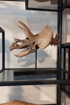 The Fossil Art-Triceratops Fosil Heykeli-Biblo-2-Milagron.com