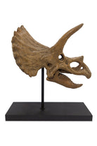 The Fossil Art-Triceratops Fosil Heykeli - Omurgasız-Biblo-4-Milagron.com