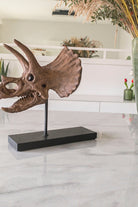 The Fossil Art-Triceratops Fosil Heykeli - Omurgasız-Biblo-6-Milagron.com