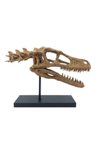 The Fossil Art-Velociraptor Fosil Heykeli-Biblo-1-Milagron.com