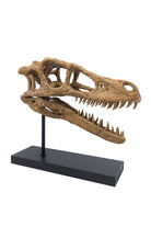 The Fossil Art-Velociraptor Fosil Heykeli - Omurgasız-Heykel-1-Milagron.com