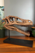 The Fossil Art-Velociraptor Fosil Heykeli - Omurgasız-Heykel-4-Milagron.com