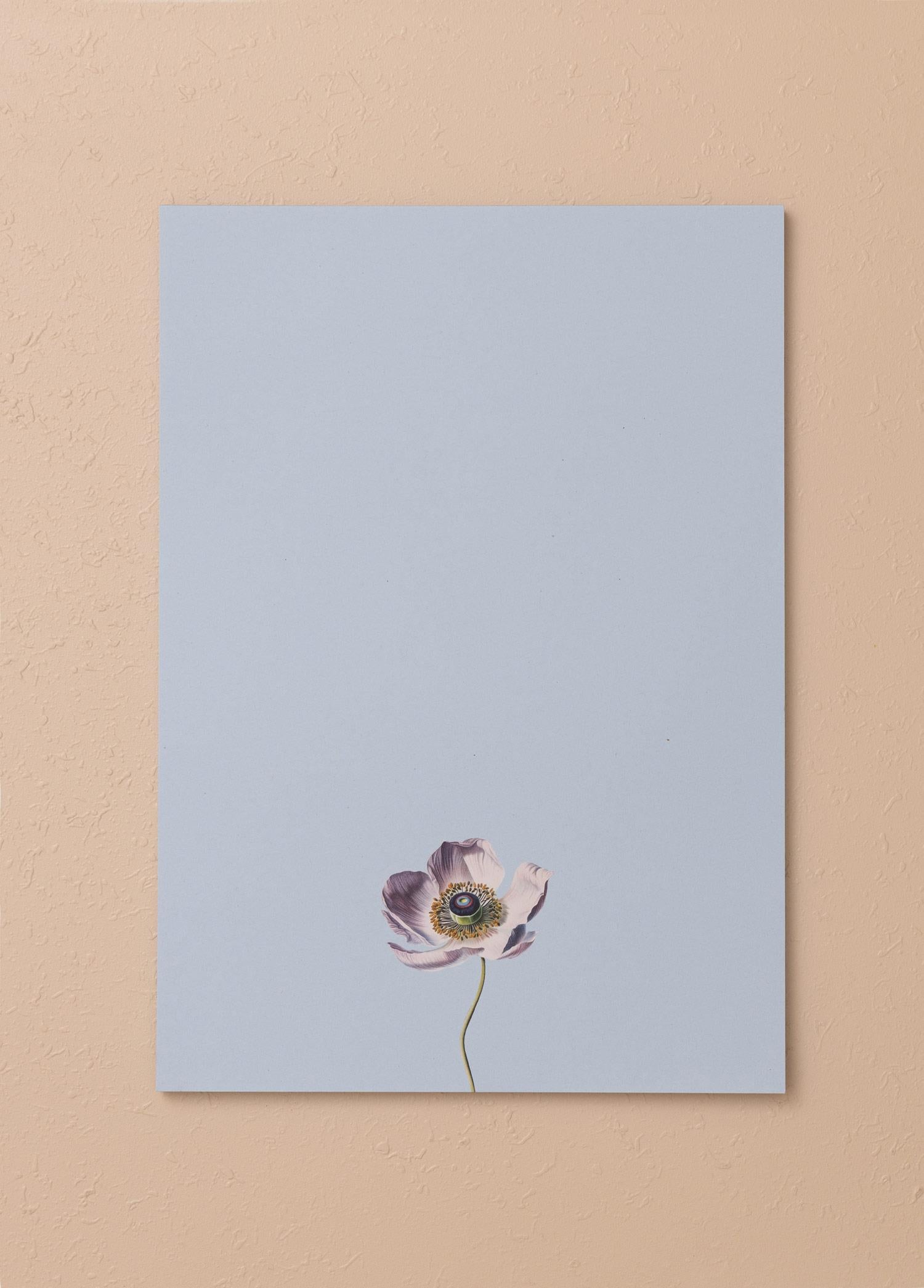 Art Line Mini Notluk Anemone 21X30 Cm 40 Yaprak