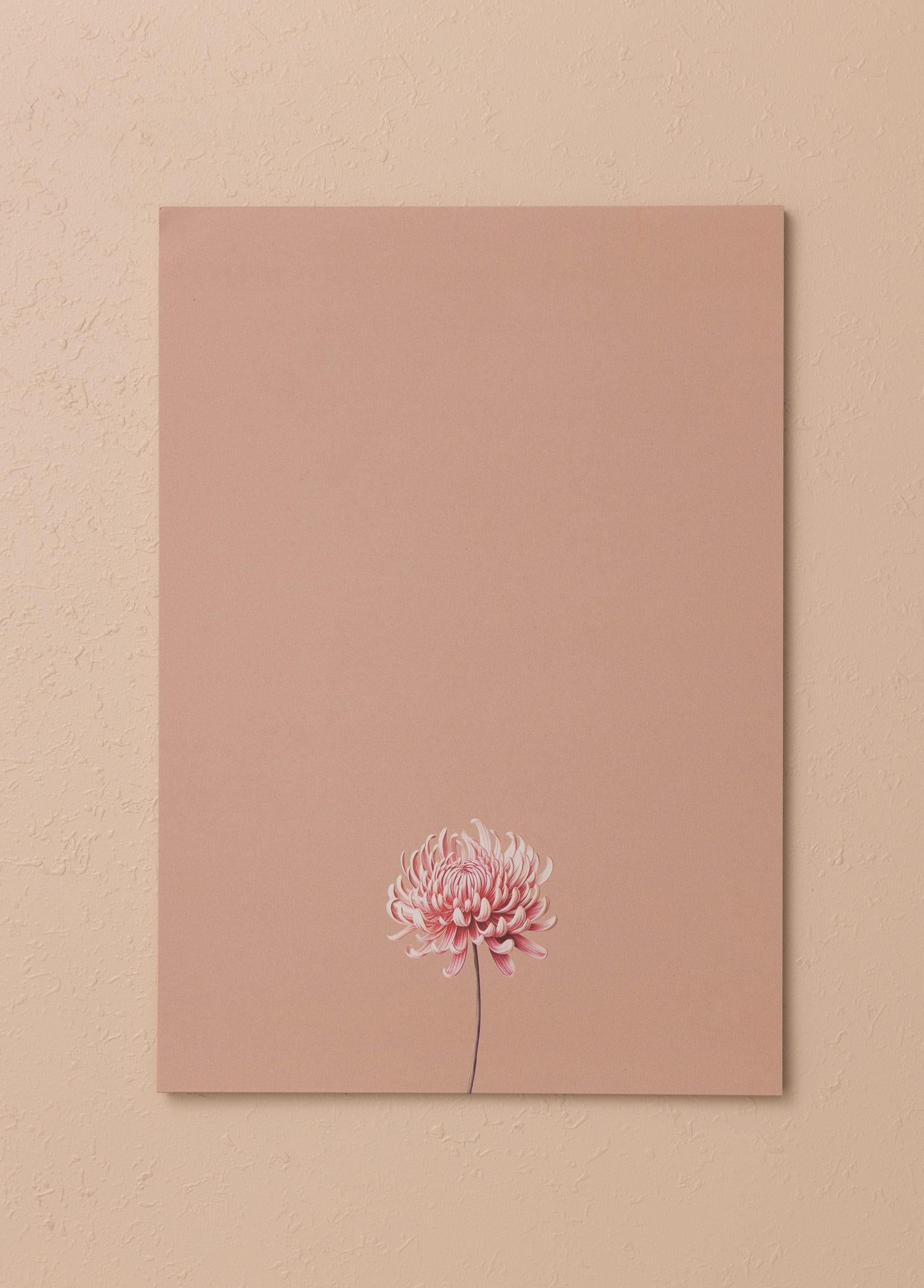 Art Line Mini Notluk Chrysanthemum 21X30Cm 40 Yapr