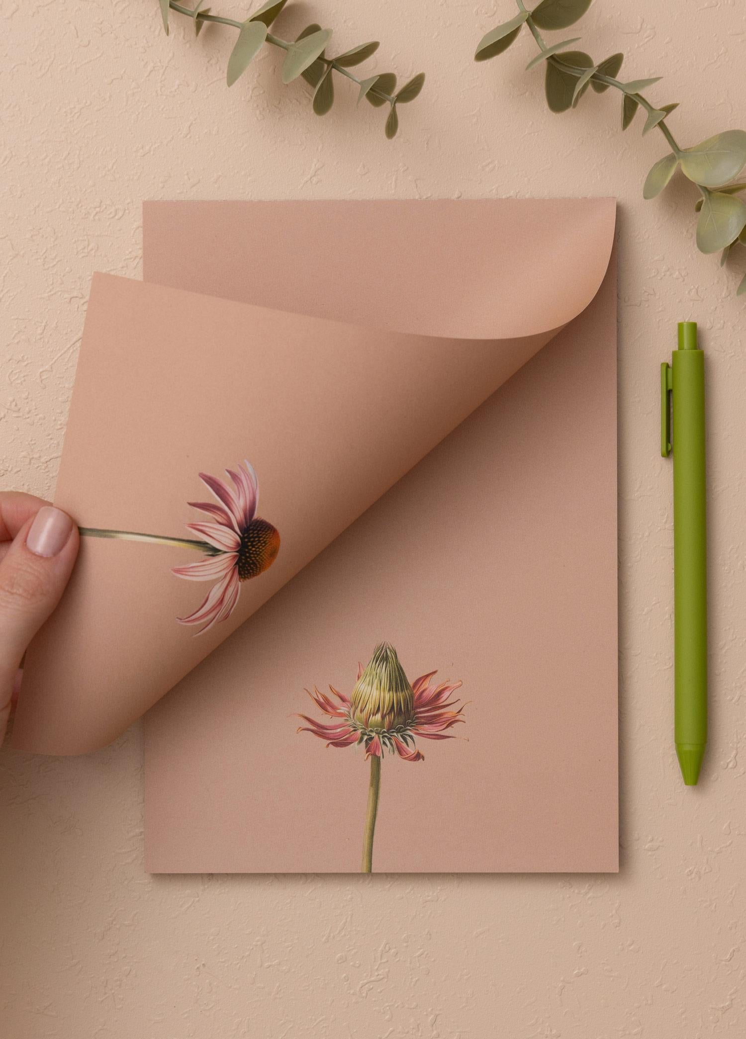 Art Line Mini Notluk Coneflower 15X21 Cm 40 Yaprak