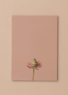 Art Line Mini Notluk Coneflower 15X21 Cm 40 Yaprak
