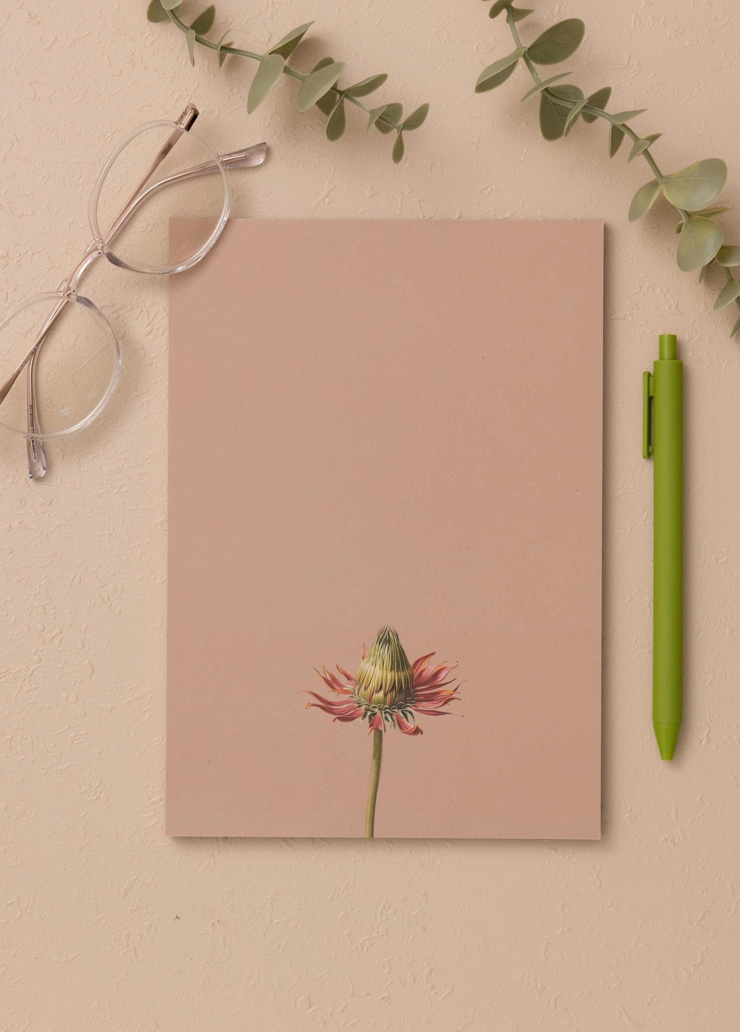 Art Line Mini Notluk Coneflower 15X21 Cm 40 Yaprak