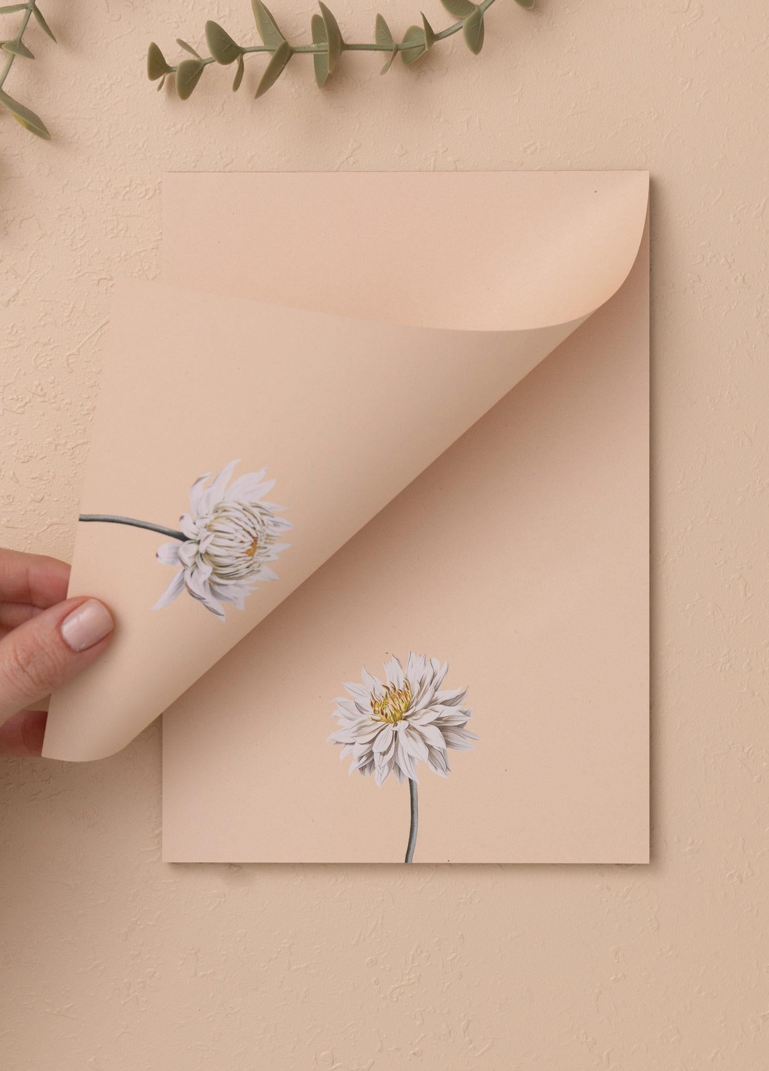 Art Line Mini Notluk Dahlia 15 X 21 Cm 40 Yaprak