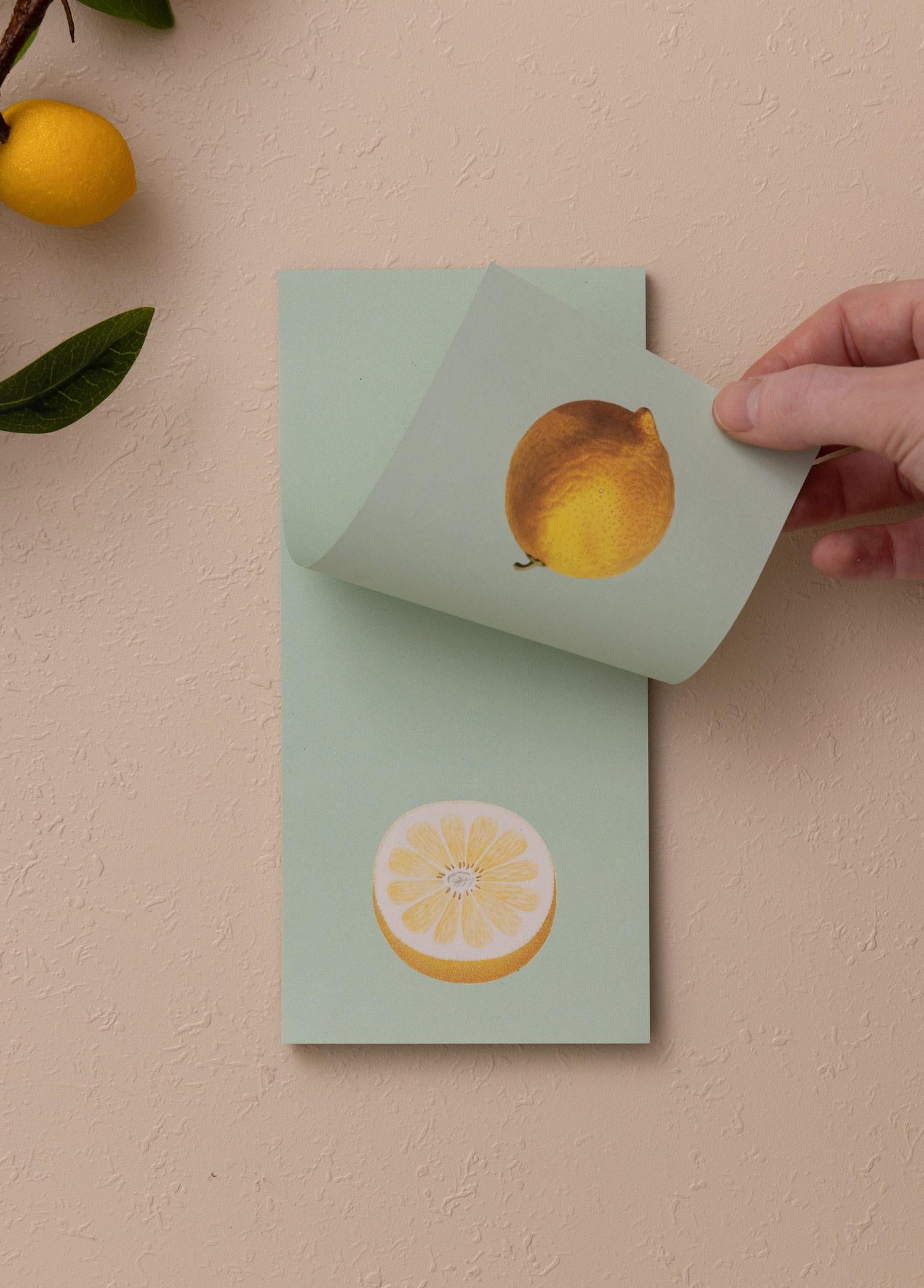 Art Line Mini Notluk Lemon 10 X 21 Cm 40 Yaprak
