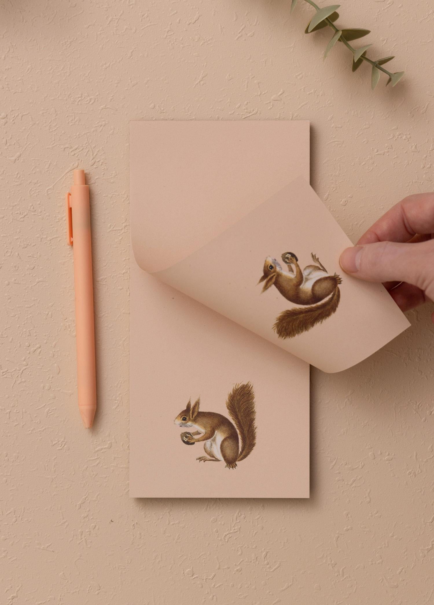 Art Line Mini Notluk Squirrel 10 X 21 Cm 40 Yaprak