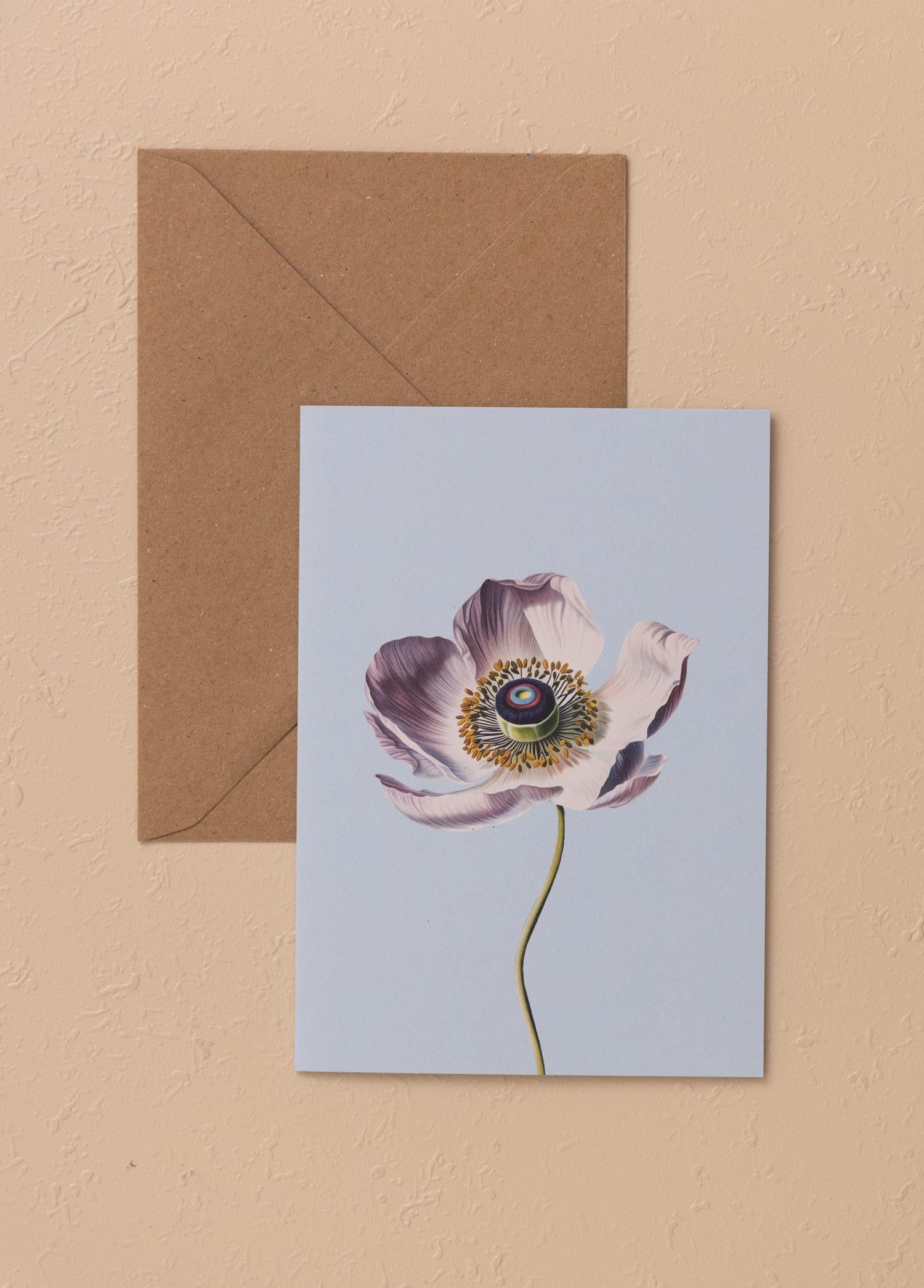 Art Line Mini Tebrik Kart Seti Anemone 10 X 14 Cm
