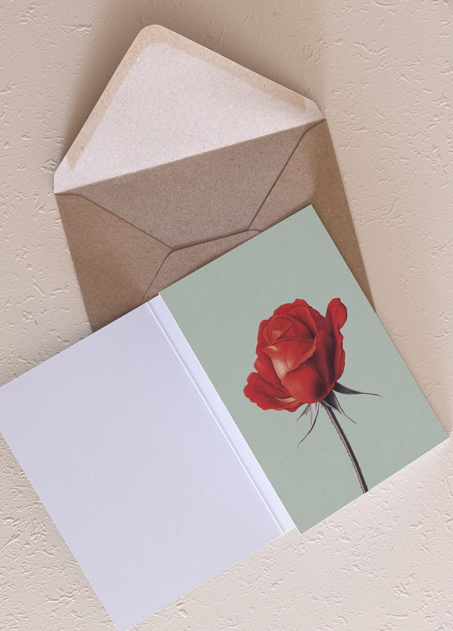 Art Line Mini Tebrik Kart Seti Rose 10 X 14 Cm