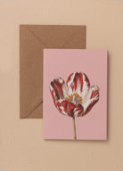 Art Line Mini Tebrik Kart Seti Tulip10 X 14 Cm