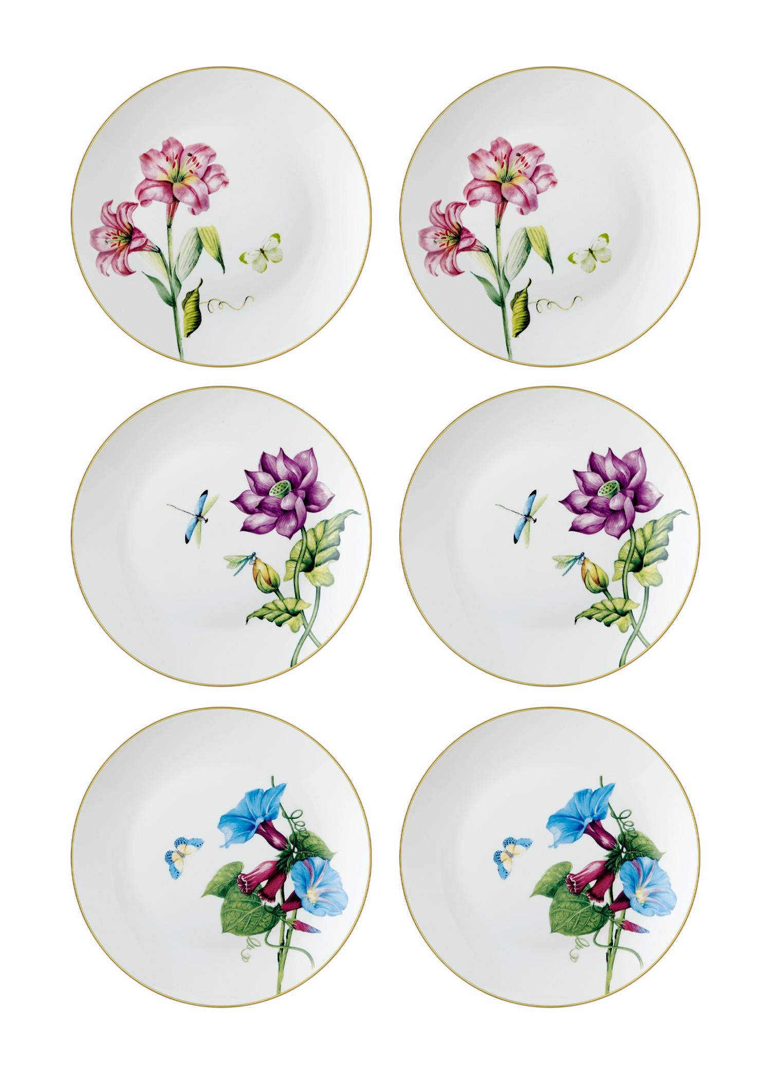 Blomma Pasta Tabağı 6 Kişilik