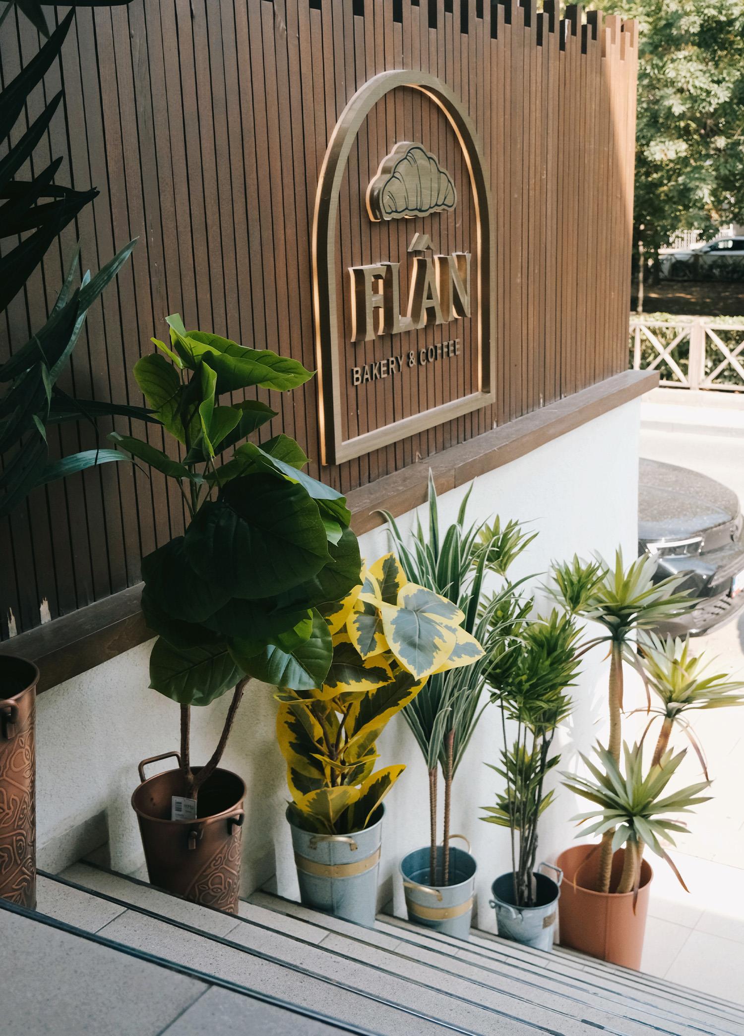 Ficus Altissima Yapay Ağaç Sarı Yeşil 6 Dal 170 Cm