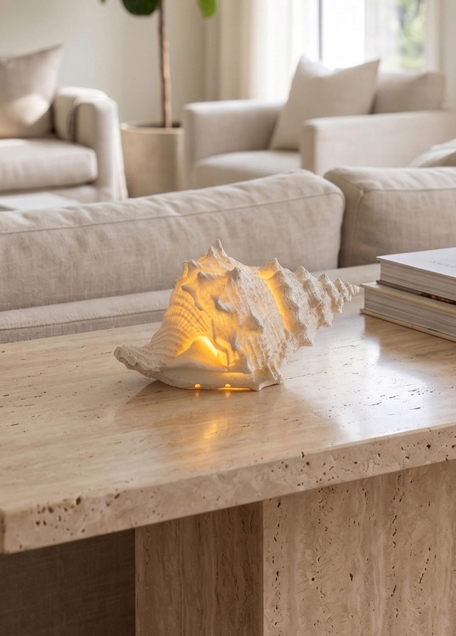 Marin Led Aydınlatmalı Deniz Salyangozu 12 Cm