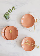 Noon Yemek Tabağı 6Lı Somon 20 Cm