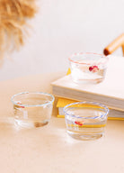 Simple Dondurmalık Tatlı Sunum Kasesi Mavi 150 Ml