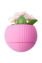 Tou Workshop-Hue Nest Mini Duvar Saksısı-Dekoratif Saksı-1-Milagron.com