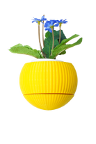 Tou Workshop-Hue Nest Mini Duvar Saksısı-Dekoratif Saksı-1-Milagron.com