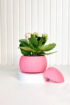 Tou Workshop-Hue Nest Mini Duvar Saksısı-Dekoratif Saksı-3-Milagron.com