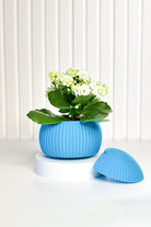 Tou Workshop-Hue Nest Mini Duvar Saksısı-Dekoratif Saksı-3-Milagron.com