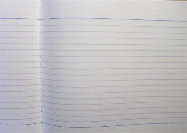 Tsubame-Tsubame B5 Dolma Kalem Uyumlu Fools Yatay Büyük çizgili Defter-Defter-3-Milagron.com