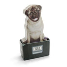 Mustard Dog In A Box Notluk