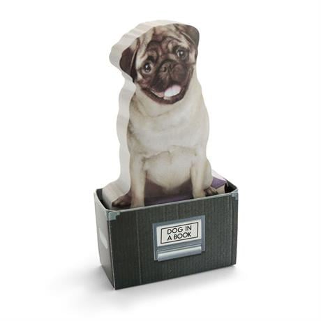 Mustard Dog In A Box Notluk