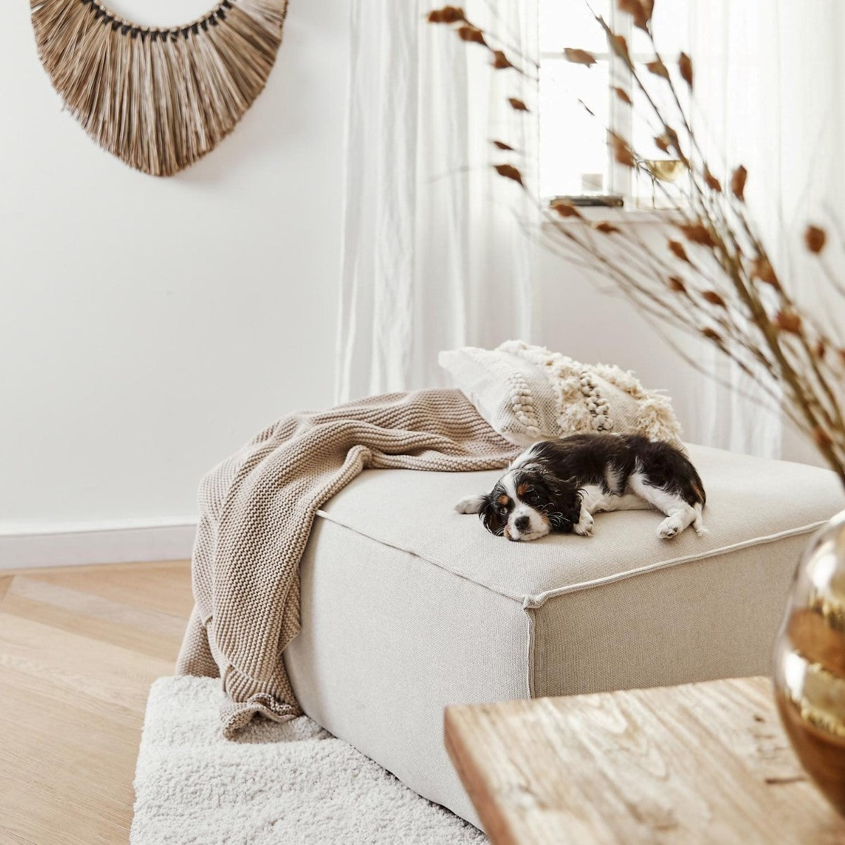 Valnott-Ravi Puf-Puf-2-Milagron.com