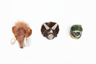 Duvar Aksesuarı, Mini Prehistoric Set